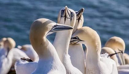 东至伴游，定制QQ：3494206190微信：act1322